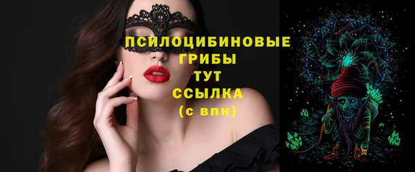apvp Алексеевка
