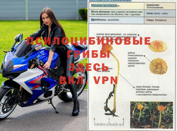 кокаин колумбия Алексин