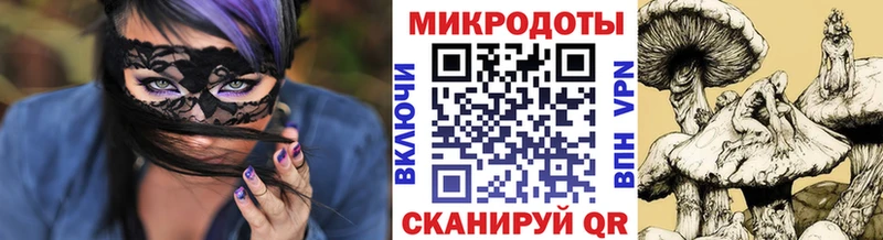 Галлюциногенные грибы Psilocybe  что такое наркотик  Волгодонск 